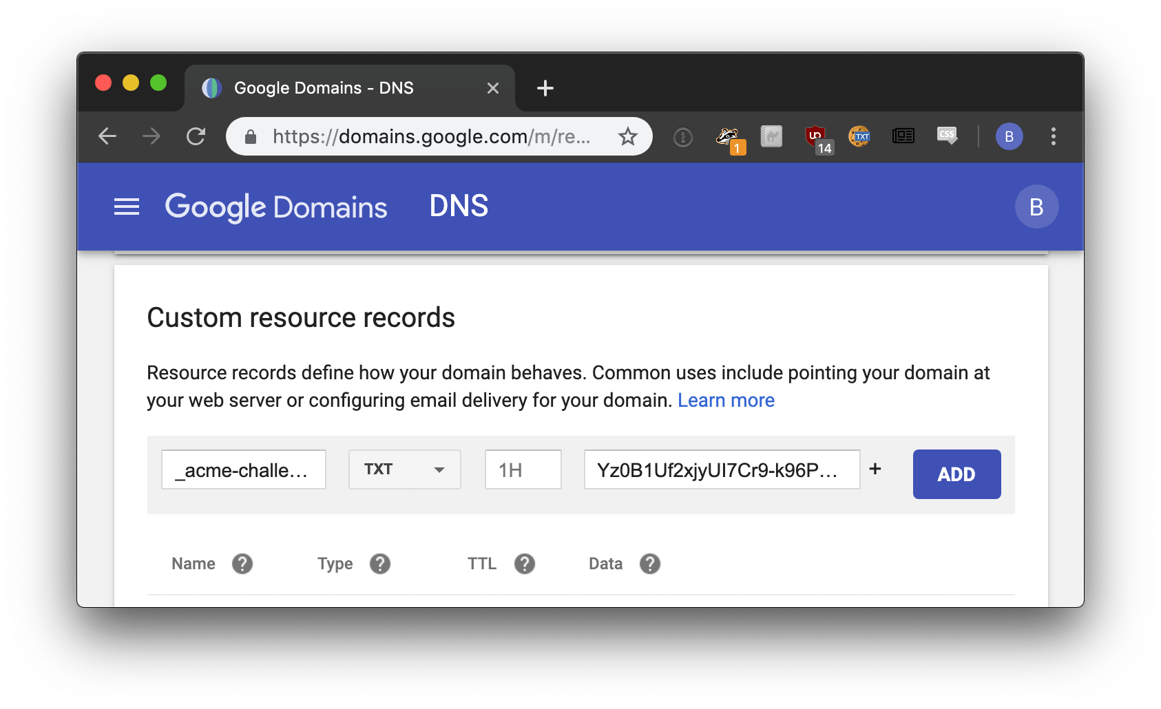 pomerium add a text entry to your dns records